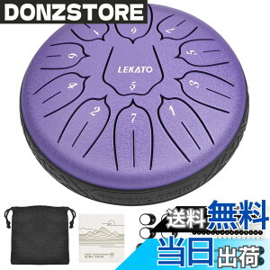 �y���������z�X���b�g�h���� �X�`�[���^���O�h���� LEKATO �����h���� 11�� 6�C���` �Ŋy�� �}���b�g ���[�o�b�O�t�� �ґz ���K �T (�p�[�v��)
