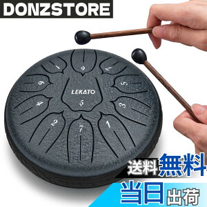 �y���������z�X���b�g�h���� �X�`�[���^���O�h���� LEKATO �����h���� 11�� 6�C���` �Ŋy�� �}���b�g ���[�o�b�O�t�� �ґz ���K �T (�l�C�r�[�u���[)