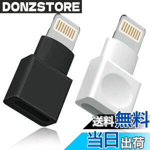 �y���������z���C�g�j���O�����P�[�u�� �A�_�v�^�[ 2�_�p�b�N Apple(�A�b�v��) MFI�F�� iPhone�[�d�� �����P�[�u�� �I�X�^-���X�^ �h�b�N �G�N�X�e���_�[ iPhone 13 12 11 X XS XR 8 7 6 5 iPad�Ή� �I�[�f