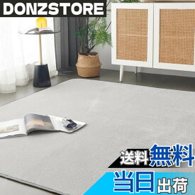 【送料無料】Keusnix カーペット ラグ ラグマット滑り止め付 洗える 200x300cm 約4.5畳 絨毯 防ダニ 抗菌 防臭 オールシーズン快適に使用 床暖房 ホットカーペット対応 ふわふわ肌触り フランネルラグ 無地 グレー