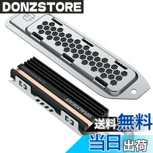 �y���������zGRAUGEAR PS5��p��M.2 2280 NVMe SSD�q�[�g�V���N�APlayStation 5�Ή��̊g���X���b�g�J�o�[�ƌ�������^�C�v�̃q�[�g�V���N�ɂ��ẮA�_�C���N�g�^�b�`�q�[�g�����q�[�g�p�C�v �A���~