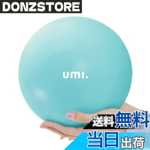 Gymnic ball ギムニク感覚 バランスボール100cm ショップ公式サイト Therasensory 触覚ボール バランスボール 小さな突起 イボつき 血流循環 日本Gボール 協会認定
