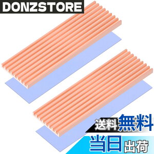 �y���������zRaonlla ���� M.2 SSD �q�[�g�V���N �����M���\ 2280 M2 SSD �q�[�g�V���N �T�[�}���p�b�h�t�� (2������)