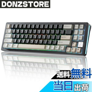 �y���������zYUNZII AL71 68% �Q�[�~���O�L�[�{�[�h �t���A���~CNC �z�b�g�X���b�v�Ή� ���� �K�X�P�b�g ���J�j�J���L�[�{�[�h NKRO 2.4GHz���C�����XBT5.0/USB-C �L�� RGB�o�b�N���C�g Win/Mac�p �����蕨