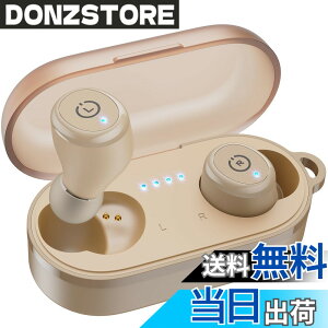 �y���������zTOZO T10 �C���z�� bluetooth ���C�����X�C���z�� ���ቹ�� �g�F�n���� ���^�y�� �}�C�N�t�� �ʘb��ENC �m�C�Y�L�����Z�����O �J�X�^��EQ �A�v���Ή� IPX8�����̖h�����\ �ő��55����