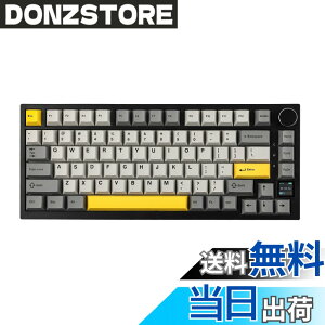 �y���������zEPOMAKER Ajazz AK820 Pro �Q�[�~���O�L�[�{�[�h 75% �K�X�P�b�g���� ���J�j�J���L�[�{�[�h TFT�X�N���[�� 3���[�h(Bluetooth 5.1/2.4G���C�����X&Type-C�L��) �����t�H�[������ (Grey, Ajazz Flying Fi