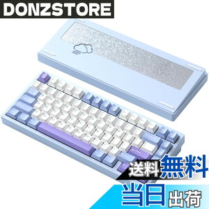 �y���������z�yWOBKEY Rainy 75�L�[�{�[�h�z�J���̂悤�ȑŌ��� ���J�j�J���L�[�{�[�h 3WAY�ڑ� OS�݊��� �z�b�g�X���b�v��VIA�̑Ή� �J�X�^�}�C�Y�� �K�X�P�b�g�f�U�C�� �A���~�j�E���f�ގg�p RG
