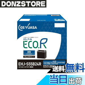 �y���������zGS���A�T (�W�[�G�X���A�T) EHJ S55B24R ECO.R HV �g���^�n�n�C�u���b�g��p�Ԑ�p ��@�p�o�b�e���[ GS YUASA 2024�N���f��