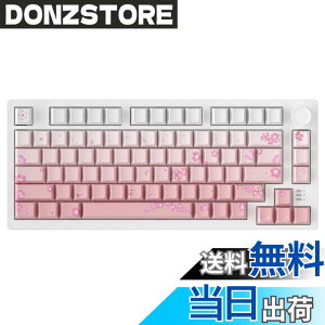�y���������zDAREU EK75PRO ���J�j�J���L�[�{�[�h ���� ��/�s���N �e���L�[���X 75% �Q�[�~���O�L�[�{�[�h 2.4G���C�����X/Bluetooth/�L��USB�ڑ��\ �K�X�P�b�g�}�E���g 81�L�[ �p��z�� ���� RGB 