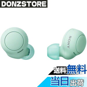 �y���������z�\�j�[(SONY) ���S���C�����X�C���z�� WF-C500 : /�y�ʏ��^5.4g/�����x�ʘb�i��/�ȒP�y�A�����O/IPX4�h�H���\/�A�C�X�O���[�� WF-C500 GZ