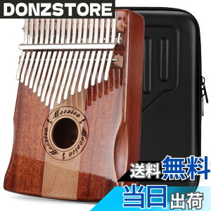 �y���������zMOOZICA 17�L�[ �J�����o K17SD