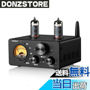�y���������zAIYIMA T9 Bluetooth 5.0 100W*2�`���[�u�A���v 2.0�`�����l�� �^��� USB DAC�X�e���IHiFi�z�[���I�[�f�B�I�f�W�^���A���v RCA/COA/Opt/PC-USB�AVU���[�^�t��