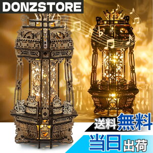 �y���������zFUNPOLA 3D�p�Y�� �ؐ��p�Y�� �|�[�J�[���[���h �v���W�F�N�^�[�����v LED���C�g�t�� �I���S�[���t�� DIY �N���t�g�L�b�g �z�[���f�R���[�V�����p�̃i�C�g���C�g �M�t�g 181PCS �F�F