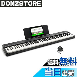 �y���������zAlesis �d�q�s�A�m 88���� Recital Play & Recital Black �F�F�P�i�A�u���b�N�A�T�C�Y�F�P�i