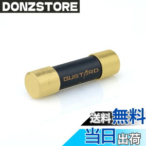 �y���������zGUSTARD HIFI�����p�q���[�Y �i�m�����n�C�G���h�q���[�Y DR70/R30/X30/R26 II/X26 III/U26/S26/HP70/H26/A26/R26/ X26PRO/A22/H20/X20/X22 �ɑΉ� Gustard�q���[�Y fuse 3.15A �T�C�Y�F3.15A
