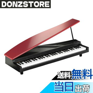 �y���������zKORG MICROPIANO �}�C�N���s�A�m �~�j����61�� �F�F���b�h