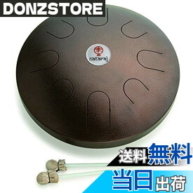 【送料無料】【澄みわたる音の粒】SOUND KING サウンドキング スティール・タング・ドラム 16インチ Bメジャー・ペンタトニック｜BG-STD3AC-BMP｜マレット＆収納袋付き｜アンティークコパー仕上げ 色：アンティークコパー、サイズ：16インチ