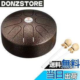 【送料無料】SOUND KING スティールタングドラム 色：アンティークコパー、サイズ：8インチ