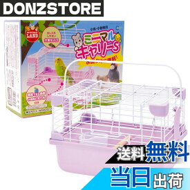 【送料無料】ミニマルランド ミニマルキャリー 色：マルチカラー、サイズ：23L x 18W x 16H cm