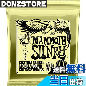 �y���������z�y���K�i�z ERNIE BALL �G���L�M�^�[�� SLINKY �F�F�}�����X(12-62)�A�T�C�Y�F12-62