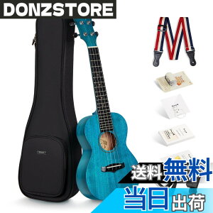 �y���������zEnya �}�z�K�j�[�E�N���� �F�F�̐F�R���T�[�g�E�N�����A�T�C�Y�F�R���T�[�g