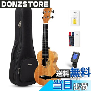 �y���������zEnya �}�z�K�j�[�E�N���� �F�F�؂̐F�\�v���m�E�N�����A�T�C�Y�F�\�v���m