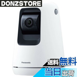 �y���������z�p�i�\�j�b�N WWA�Ή� �����J���� SECURITY_CAMERA �F�F�z���C�g�A�T�C�Y�F1�� (x 1)