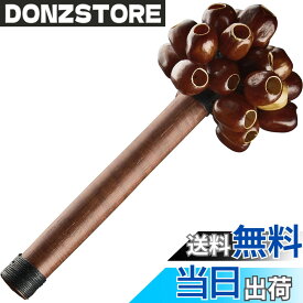 【送料無料】MEINL マイネル Sonic Energy Collection シェイカー 色：PALA(ナツメグ)
