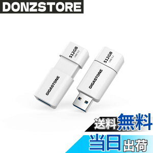 �y���������zUSBdrive Z40&Z60 1PK,5PK section1 �F�F����A�T�C�Y�F512GB 2�Z�b�g