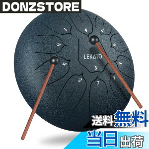�y���������z�X���b�g�h���� �X�`�[���^���O�h���� LEKATO �����h���� 11�� 6�C���` �Ŋy�� �}���b�g ���[�o�b�O�t�� �ґz ���K �T �F�F�l�C�r�[�u���[ 10�C���`