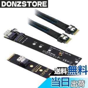 �y���������zXiwai NGFF M-Key NVME�I�X-���X�����P�[�u��40cm�ASFF-8654�R�l�N�^�A���C���{�[�hSSD 2280/22110�p �F�FBlack