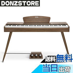 �y���������zDonner �d�q�s�A�m 88���� DDP-80 �F�F�E�H�[���i�b�g�A�T�C�Y�FDDP-80