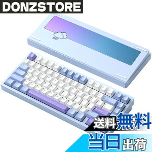 �y���������z�yWOBKEY Rainy 75�L�[�{�[�h�z�J���̂悤�ȑŌ��� ���J�j�J���L�[�{�[�h 3WAY�ڑ� OS�݊��� �z�b�g�X���b�v��VIA�̑Ή� �J�X�^�}�C�Y�� �K�X�P�b�g�f�U�C�� �A���~�j�E���f�ގg�p RG