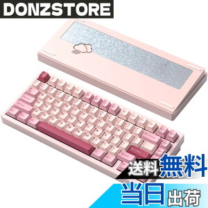 �y���������z�yWOBKEY Rainy 75�L�[�{�[�h�z�J���̂悤�ȑŌ��� ���J�j�J���L�[�{�[�h 3WAY�ڑ� OS�݊��� �z�b�g�X���b�v��VIA�̑Ή� �J�X�^�}�C�Y�� �K�X�P�b�g�f�U�C�� �A���~�j�E���f�ގg�p RG