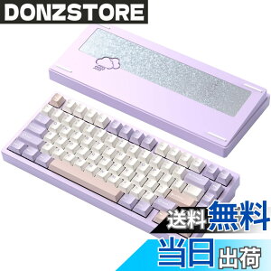 �y���������z�yWOBKEY Rainy 75�L�[�{�[�h�z�J���̂悤�ȑŌ��� ���J�j�J���L�[�{�[�h 3WAY�ڑ� OS�݊��� �z�b�g�X���b�v��VIA�̑Ή� �J�X�^�}�C�Y�� �K�X�P�b�g�f�U�C�� �A���~�j�E���f�ގg�p RG