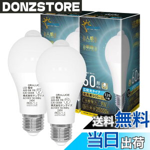 �y���������zORALUCE �l���Z���T�[ LED�d�� 2�� �F�F�����F�A�T�C�Y�F2��