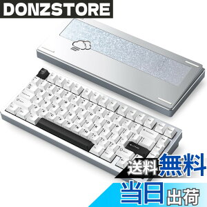 �y���������z�yWOBKEY Rainy 75�L�[�{�[�h�z�J���̂悤�ȑŌ��� ���J�j�J���L�[�{�[�h 3WAY�ڑ� OS�݊��� �z�b�g�X���b�v��VIA�̑Ή� �J�X�^�}�C�Y�� �K�X�P�b�g�f�U�C�� �A���~�j�E���f�ގg�p RG