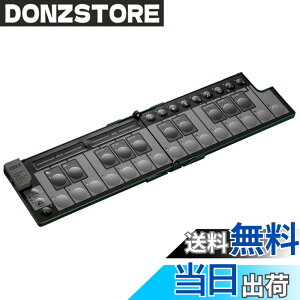�y���������zKORG(�R���O) MIDI�L�[�{�[�hnanoKEY Fold 25����/�R���p�N�g/�R���g���[���[/DTM/USB/�p�X�p���[/�v���O�C���t�� �F�F�A���p�C���O���[��