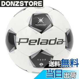 【送料無料】モルテン(molten) サッカーボール ペレーダ5000 5号球 中学生以上 国際公認球 検定球 色：白x黒(芝用)、サイズ：5