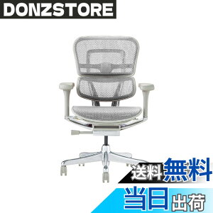 �y���������z�G���S�q���[�}��2(Ergohuman2) �I�t�B�X�`�F�A �F�F�t���[��:GRAY / ���b�V��:WHITE�A�T�C�Y�F���[�^�C�v