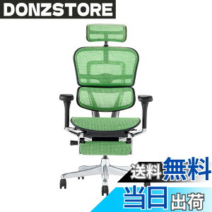 �y���������z�G���S�q���[�}��2(Ergohuman2) �I�t�B�X�`�F�A �F�F�t���[��:BLACK / ���b�V��:GREEN�A�T�C�Y�F�n�C�^�C�v�E�I�b�g�}������