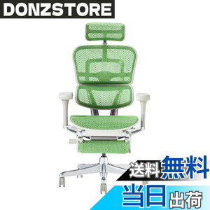 �y���������z�G���S�q���[�}��2(Ergohuman2) �I�t�B�X�`�F�A �F�F�t���[��:GRAY / ���b�V��:GREEN�A�T�C�Y�F�n�C�^�C�v�E�I�b�g�}������