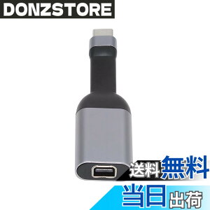 �y���������zxiwai USB-C �^�C�v C ����f�B�X�v���C�|�[�g Mini DP �P�[�u�� �A�_�v�^�[ 4K 2K 60Hz �^�u���b�g & �d�b & �m�[�g�p�\�R���p �F�FSliver