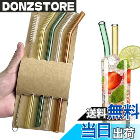 【送料無料】KALOLINNA プラスチックストロー 耐熱 再利用可能 安全無毒 環境に優しい 洗浄ブラシ付き 6本セット 色：カラーガラス製+4本セット、サイズ：通常サイズ