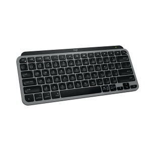 �y���������z���W�N�[�� KX700 ���C�����X�L�[�{�[�h �F�Ffor Mac �X�y�[�X�O���[(US�z��) (2�N)