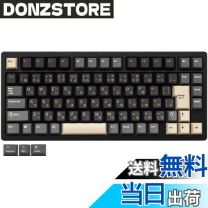 �y���������z�yWOBKEY Rainy 75�L�[�{�[�h�z�J���̂悤�ȑŌ��� ���J�j�J���L�[�{�[�h 3WAY�ڑ� OS�݊��� �z�b�g�X���b�v��VIA�̑Ή� �J�X�^�}�C�Y�� �K�X�P�b�g�f�U�C�� �A���~�j�E���f�ގg�p RG