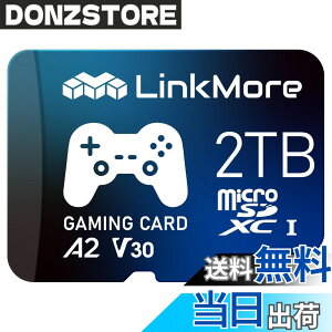 �y���������zLinkMore A1V30 / A2V30 / XV23 Pro MicroSDXC�J�[�h �T�C�Y�F2TB