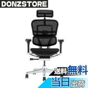 �y���������z�G���S�q���[�}��2(Ergohuman2) �I�t�B�X�`�F�A �F�F�t���[��:BLACK / ���b�V��:BLACK�A�T�C�Y�F�n�C�^�C�v