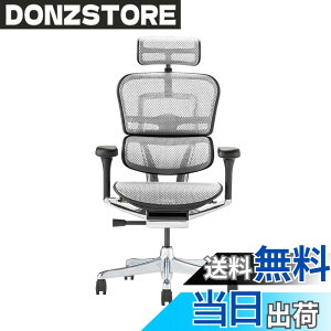 �y���������z�G���S�q���[�}��2(Ergohuman2) �I�t�B�X�`�F�A �F�F�t���[��:BLACK / ���b�V��:WHITE�A�T�C�Y�F�n�C�^�C�v