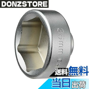 �y���������z(STRAIGHT/�X�g���[�g) �h�������I�C���t�B���^�[�J�b�v�����`36mm 12-6003 �F�F�V���o�[